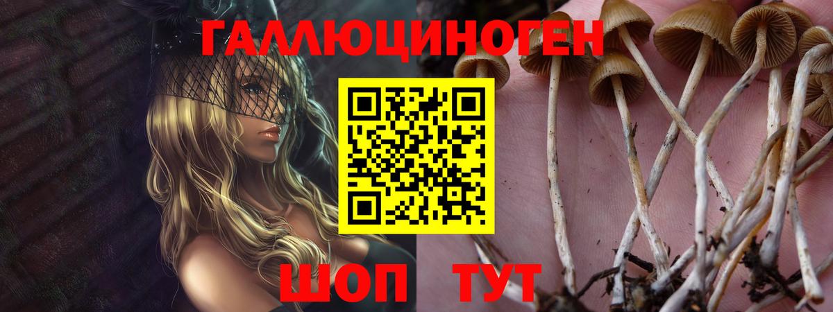 Псилоцибиновые грибы Psilocybine cubensis Рузаевка